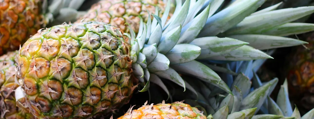 Jak wygląda zepsuty ananas